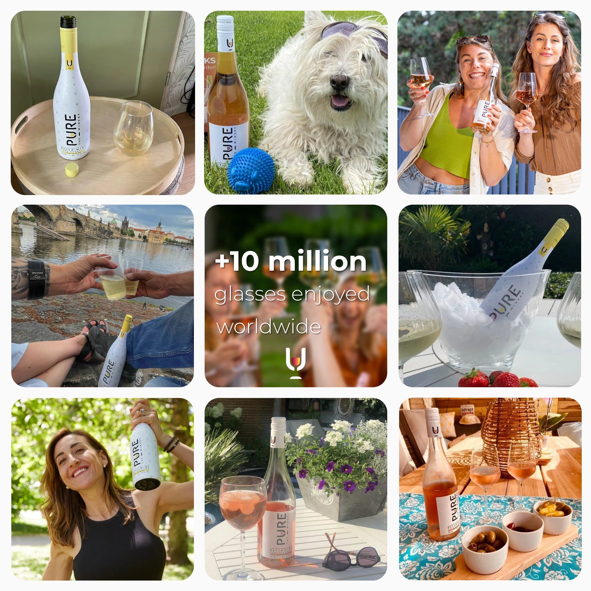 Zero Sugar Bestseller Pack