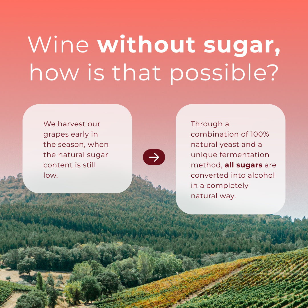 Zero Sugar Still Pack