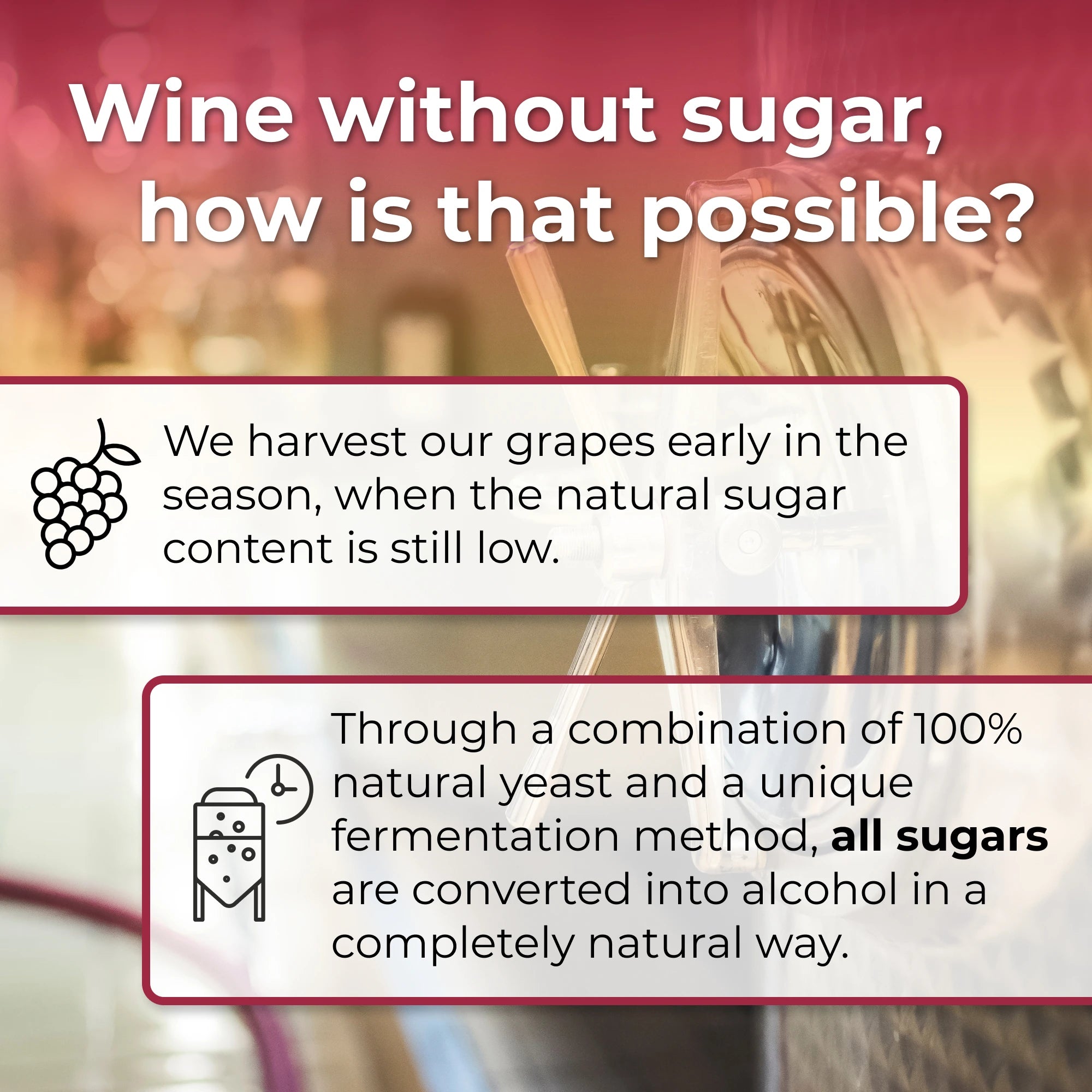 Zero Sugar Bestseller Pack